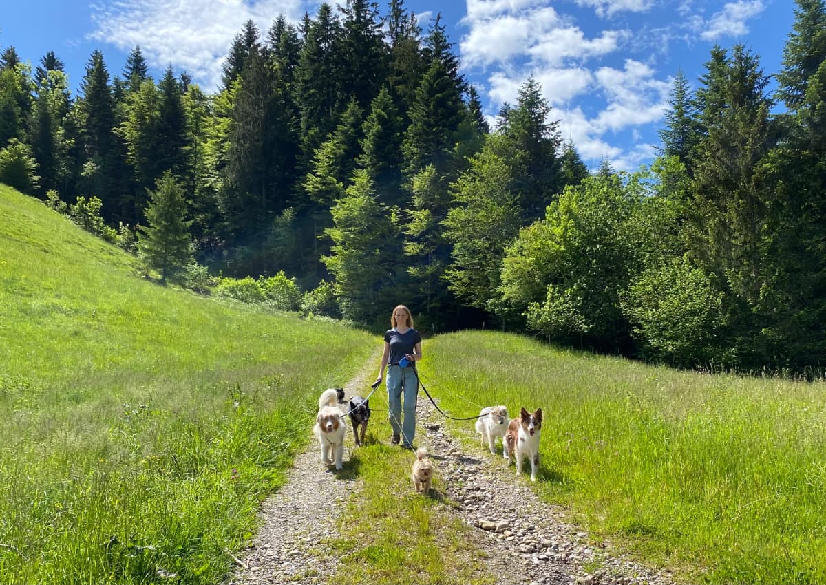 Unterwegs mit dem Rudel