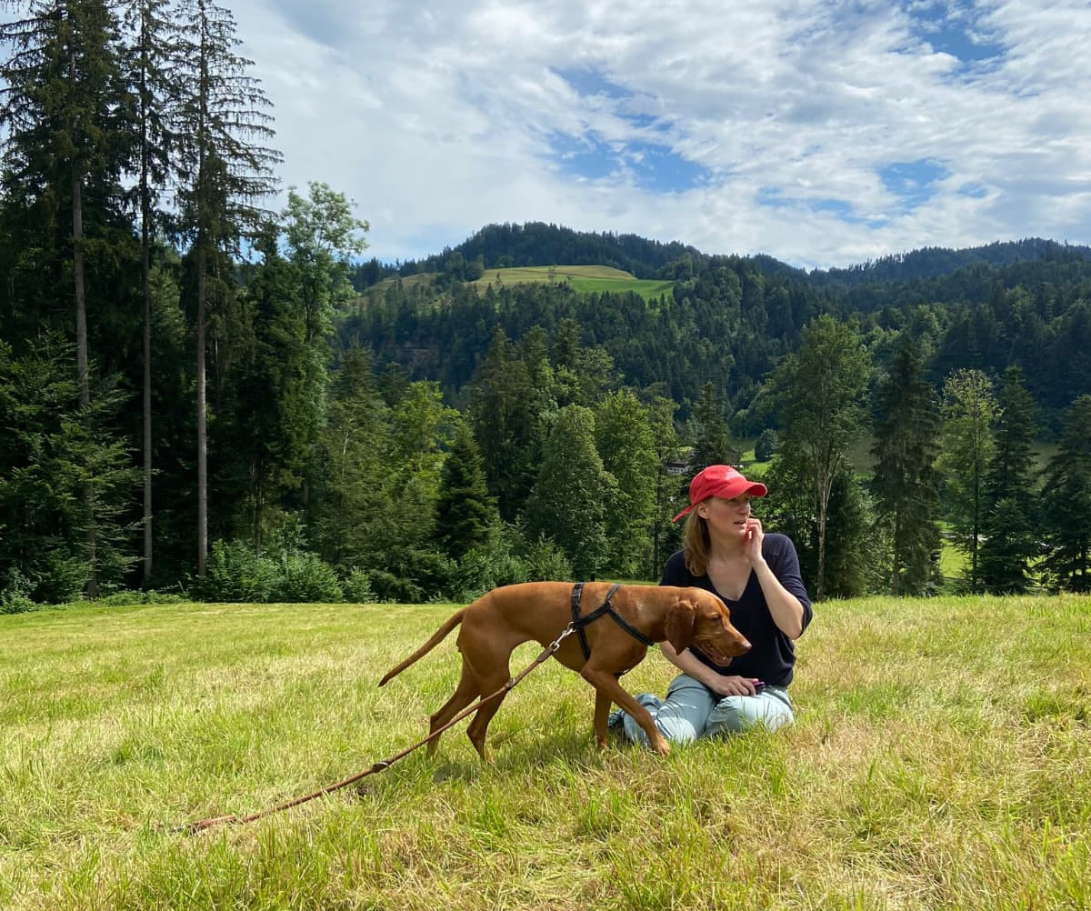 Training mit Vizsla Dame Noa