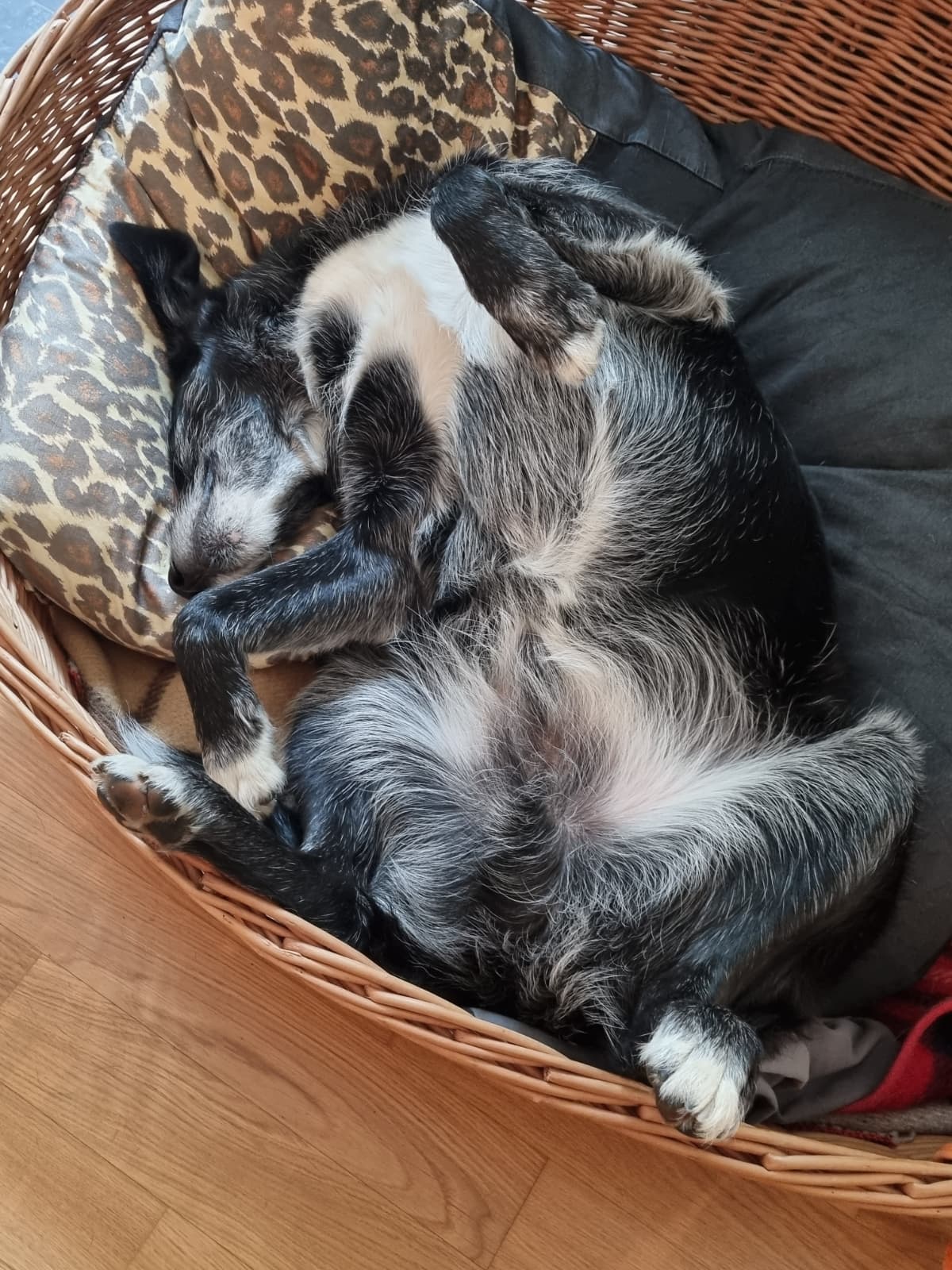 Schlafen ist das Schönste was es gibt!